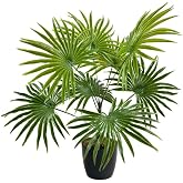 Nettenevime Yapay &Ccedil;i&ccedil;ek Yelpaze Palmiye 8 Dal 50 * 40cm Salon &Ccedil;i&ccedil;eği Plastik Siyah Saksılı Yapay Bitki