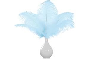 JOYRAY 12PCS Blue Ostrich Feathers 8-10inch Natural Ostrich Plume Set for Home Office Room Wall Table Vase Holiday Reception Décor Wedding Masquerade Mask Party Birthday Ornament Crafts DIY Decoration Use