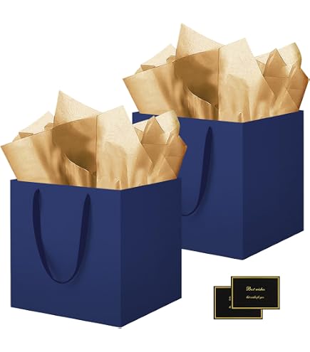 HUAPRINT Sacchetti Regalo Neri Con Manici - Confezione Da 24, 15x15x15