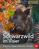 Image de Schwarzwild im Visier: Ansprechen  Bejagen  Nachsuchen  Versorgen