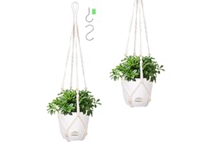 QCQHDU 14.5cm 2 Pcs Self Watering Hanging Plant Pot,Clear Plastic Flower Pots With Holes Indoor fo Outdoor,Macrame Hanger Planters & Baskets,With Hanging Hook and Water-Absorbing Wick