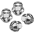 RUIZHI 4 pcs Alloy Wheel Nuts - M12x1.5 | 19mm Hex with Taper Washer - High-Strength Lug Nuts Compatible with Ford F-150/Escort, Ford Fiesta Focus Fusion, for Lincoln (Set)