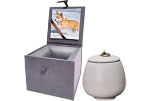 UMBERDOM Ceramic Pet Urn Ashes Urn for Dogs Cats Handmade Memorial Gift with Photo Box (Matt White, Medium)