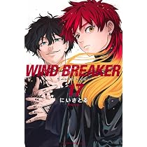 WIND BREAKER OFFICIAL CHARACTER BOOK (ARTBOOK VO JAPONAIS) : NII