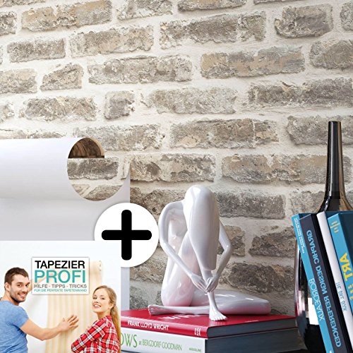 Steintapete Vliestapete Grau Creme , schöne edle Tapete im Steinoptik , moderne 3D Optik für Wohnzimmer, Schlafzimmer oder Küche inklusive Newroom Tapezier Profibroschüre, mit Tipps für perfekteWände
