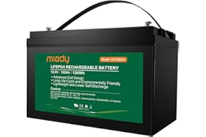 Miady 12V 100Ah LiFePO4 Akku Lithiumbatterie mit BMS Schutz 3000 Mal Wartungsfreie Batterie für Solaranlage, Fischfinder, Kinderwagen, Solarpanel Kit, Wohnmobil, Boot, Camping
