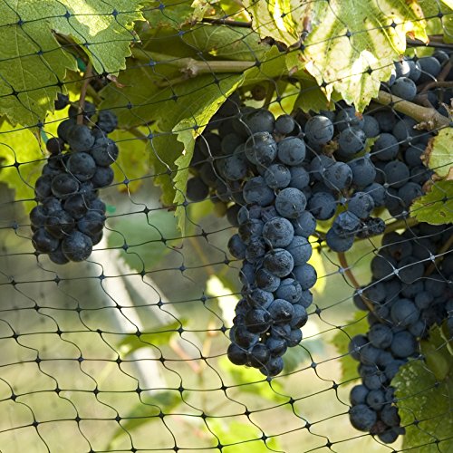 Vogelschutz-Netz zum Abdecken von Bäumen, Sträuchern und Beeten | reißfestes Vogelnetz für Garten, Balkon oder Teich | zum Schutz vor Vögeln | Maschenweite: 13 mm | schwarz | 4×10 m - 4