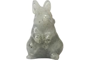 Manekieko Natürliche Grauer Mondstein Hand Geschnitzte Kaninchen Statue,1.5 Zoll Kristalle und Heilsteine Tier Figuren Edelstein