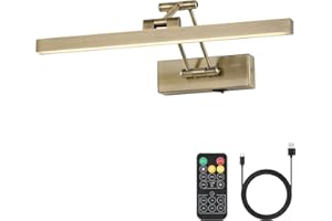 Pasoar Bild Licht Batteriebetriebene Messing 40CM lange wiederaufladbare Wandleuchten Dimmbare LED Bibliothek Licht mit Swing Arm und Timer Funktion Akku Wandleuchte Innen Gold Farbe