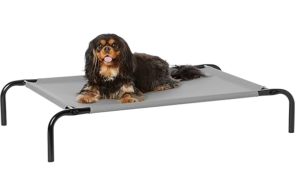 Amazon Basics cama para mascotas para perro, elevada y refrescante, gris, de tela, Small, 90 x 55 x 55 x 19 cm, tela 72 x 57 cm