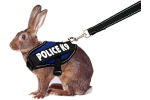 Vehomy Kaninchengeschirr mit Leine für Kaninchen Katzen Kleintiere (blau)