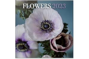 ‎GRUPO ERIK Grupo Erik Wandkalender 2023, Blumen Wandkalender, Kalender zum Aufhängen, Kalender 2023 Wandkalender, Familienkalender 2023, offizielle Lizenz, FSC zertifiziert