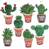 EQLEF Magneti del Frigorifero della Resina, magneti Decorativi Adesivi del Cactus della succulente Magnete del Frigorifero di