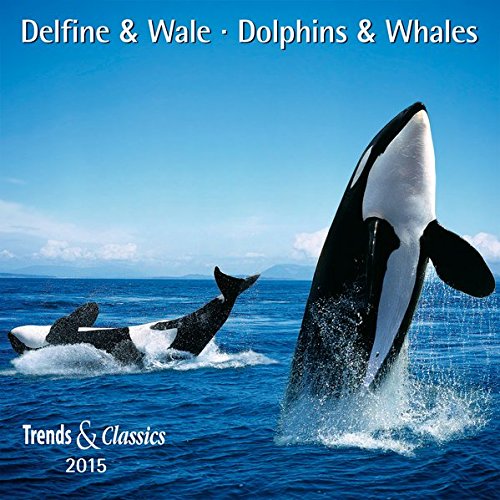 Delfine und Wale - T & C-Kalender 2015