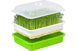 BSEICAL Germogliatore Per Semi Automatico, Germinatore Per Semi, Germogliatore Di Semi, Semenzaio Plastica Germogliatore Kit Idroponica Per Soia Germogli Avocado Verdura Orto Miniserra