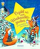 Erzähl mir vom Weihnachtszauber: 24 Geschichten zum Vorlesen by Anne Ameling, Henriette Wich