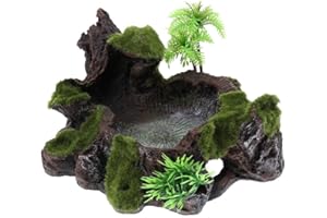 Fliyeong Moos Dekoratives Reptil Feste und stabile Harzschale Lebensmittel Wasserschale Bartagame Gecko Eidechse Mahlzeit Wurmfutter Terrarium Habitat Zubehör Langlebig u