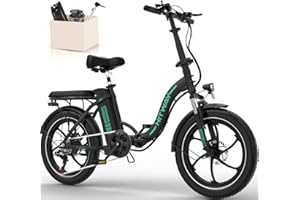 HITWAY E-Bike Bicicletta Elettrica 20 Pollice Fat Tire Bicicletta Pieghevole Bicicletta Elettrica, 250W/36V/12 Ah Batteria, Max.Electric chilometraggio può raggiungere 35-90 km