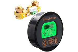 DollaTek 8-80V 100A Voltmètre de Courant de Batterie Affichage LCD Moniteur de testeur numérique pour Voiture Automatique/Bateau à Moteur/Caravane, etc.