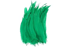 M METERXITY 50-Pack Plumes Naturelles De Queue De Coq, 10-12 Pouces / 25-30cm De Longueur pour Bricolage/Mariage/Attrape-Reves/Decorations DIY Artisanales [Vert Prairie]