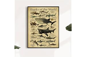 GLWDME Vintage Sharks of the World väggmålning, duktryck och affischer, väggbilder för vardagsrum sovrum (utan ram)