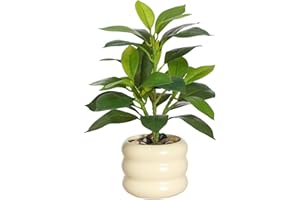 LUWENER Fake Ficus Plant in Ceramic Pot,12" tall Artificial Potted Plants for Home Indoor Office,Faux Ficus Plant for table Bathroom Bedroom Decoration(plant white pot)