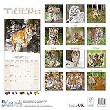 Image de TIGERS