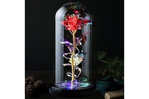 Veryhome Christmas Flowers Gifts Rose Gifts for Her Preserved Flowers Women Galaxy Rose Rainbow Light Up Flowers in Glass Dome Christmas Decoration for Valentine's Day Anniversary Mother's Day