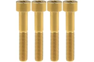 Ruifu M8x20 25 30 35 40 45 50 60 70mm Titanium Grade 5 Allen Socket Cap Bolt DIN912 for Motorcycle Pack of 4