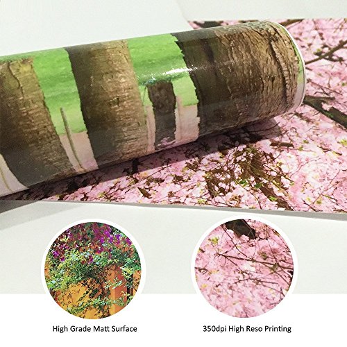 MKS Türtapete selbstklebend TürPoster 3D Bewirken Suspension Brücke Fototapete Türfolie Poster Tapete 77X200cm Abnehmbar PE Schälen und Stock Wandtapete zum Wohnzimmer Küche Schlafzimmer Wandaufkleber - 4