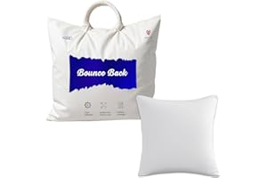 ADSIN Set of 1-28cm x 28cm Odd Size Hollowfibre Cushion Pads New White Inners Stuffer Square Pillow Insert Sofa Throw Hypoallergenic (Pack of 1 | 11" x 11")