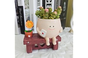 longjunjunfashion Smily Face Planter Pot with Drainage Hole Cute Resin Planters for Unique Swinging Sunflowers Succulent Pots for Indoor Outdoor Plants Gift for Mother Christmas