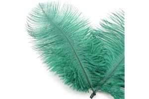 DUORIES 10 plumas avestruz naturales 15-20 cm,plumas avestruz para manualidades,atrapasueños,accesorios,decoración hogar,disfraces,decoración mesa,bodas,fiestas,sombreros,ropa,decoración,color verde oscuro