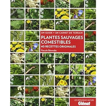 Plantes sauvages comestibles