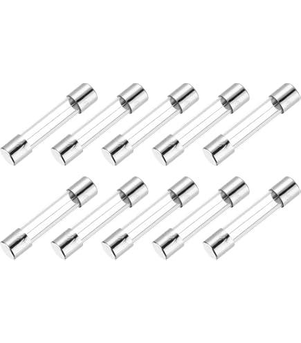 BOJACK 20A 250V Fast-Blow Glass Fuses – 6x30mm, 18-Pack With Plastic Storage Case, F20AL250V Replacement