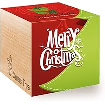 Ecocube Fragola Biologico - Kit Coltivazione In Cubo Di Legno, Semi Biologici, Regalo Sostenibile - Foto 8