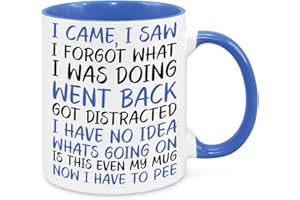 CHERISH CHARLIE DESIGNS I Came I Saw I Forgot Mug - Funny Novelty Gift Silly Present Mugs for Women Birthday Christmas for Mum Dad Friend Sister for Men Colleague Secret Santa Work Quotes (Blue)