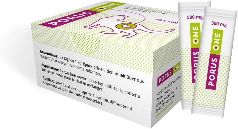 Vue 6