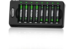 BEVIGOR 8 Piles AAA NiMH Rechargeables avec Chargeur 8 Slots, Charge Rapide