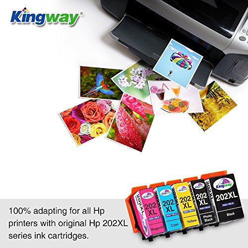 kingway Reemplazo para Epson 202  202  x l cartuchos de tinta compatibles con Epson Expression Premium xp-6000  xp-6005       negro foto negro cian magenta amarillo       Multicolor  Pack de 5 