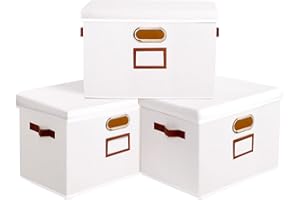 OUTBROS Lot de 3 Boîte de Rangement, Paniers de rangement Pliables avec Couvercle et Poignées, Caisses de rangement en Tissu Lavable, pour Vêtement, Magazine pour Maison (Blanc, 38x25x25cm)