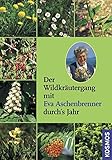 Image de Der Wildkräutergang mit Eva Aschenbrenner durchs Jahr: mit CD