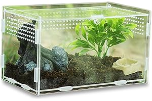 Keweni Insect Feeding Box, Acrylic Terrarium Container for Spider Lizard Frog Scorpion, Portable Crawling Pet Reptile Habitat, Anti Escape Design (Clear1)