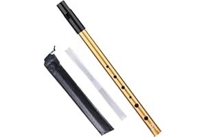 AABDTYYD Fischietto Irlandese Tin Whistle Tono D Suono Eccezionale Fischietto Azteco Per Principianti Amanti della Musica con Custodia Protettiva