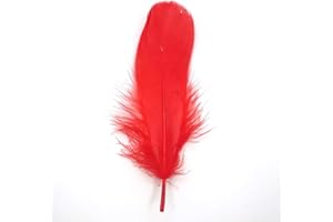 GENERIC Natürliche Federn Gänsefedern, ca. 15-20 cm, 10 Stück, Rot - Kopper-24 Gans Schwanzfedern Schmuck Dekoration Bastelfedern für Hochzeit Karneval Party Deko Kostüme Natur Basteln