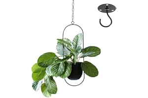 VDYXEW Metall Hängend Blumentopf ，Hängender Dekorationstopf Metall Schwarzer Bolo Blumenampel Decke hängender Übertopf für Zimmerpflanzen, Sukkulenten, Luftpflanzen (Schwarz-1 Pack)