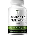 Lactobacillus Salivarius Probiotic Supplement 240 Tablets 3 Billion CFU Probiotics for Men & Women Vegan Friendly Made in The UK (Lactobacillus Salivarius)