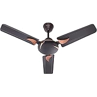 Candes Lynx High Speed Anti-dust Decorative 5 Star Rated Ceiling Fan (100% Copper) 3 Years Warranty (900mm, Coffee Brown…