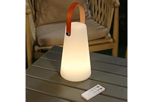 IROO Lampe de table LED extérieur avec Télécommande Blanc chaud 8 couleurs Intensité variable Lampe de Table sans fil étanche Décoration idéale pour votre maison et jardin (conique)