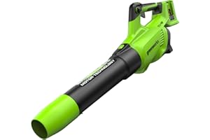 Greenworks 48V(24V x 2) Soffiatore Assiale a Batteria, Velocità Aria 217 Km/h, 16.4m³/min, Potente Tubo Soffiatore Assiale Controllo di Velocità Elettronico Senza Batteria e Caricatore GD24X2AB